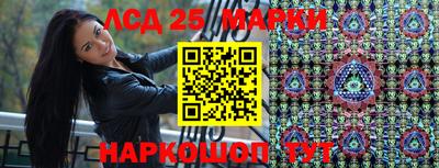 ешки Новодвинск