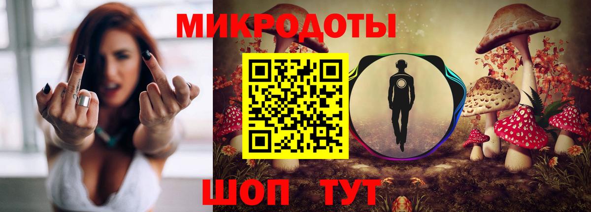 где можно купить   Псилоцибиновые грибы MAGIC MUSHROOMS  Вход с VPN  Пушкино  Псилоцибиновые грибы Psilocybe 